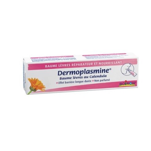 Dermoplasmine Balsamo Labial  10 G