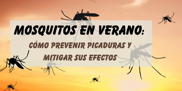 Mosquitos en Verano: Cómo prevenir picaduras y mitigar sus efectos
